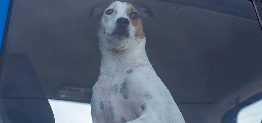 Car Lockout Solutions in Albany, California